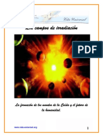 Campos de irradiación.pdf