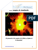 Campos de Irradiación PDF