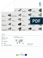 Catálogo Peixes Edia - PT