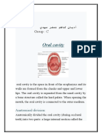 Oral Cavity: Group: C