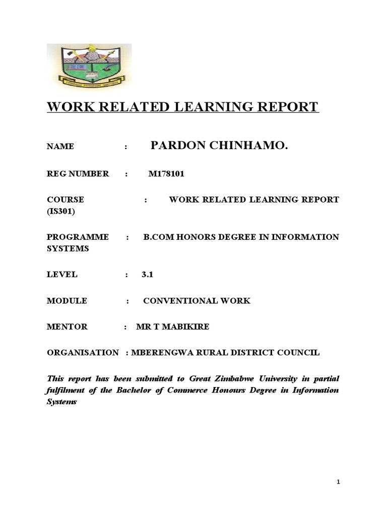 Work related learning report vachinhamo pdf business
