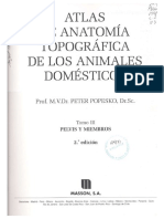 Atlas de Anatomia Topográfica - Peter Popesko.pdf