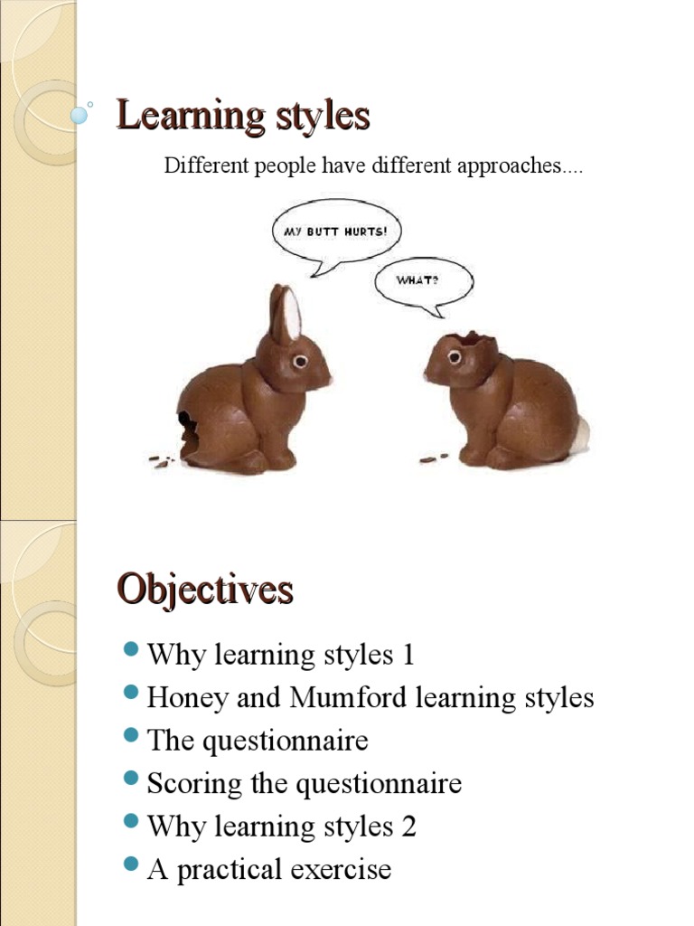 Understanding Honey and Mumford Learning Styles | PDF