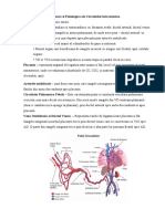 Caracteristicile_Anatomice_si_Fiziologice_ale_Circulatiei_Intrauterine_-7183.docx