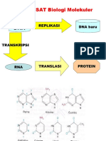 DOGMA PUSAT Biologi Molekuler: Replikasi DNA Baru