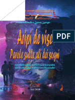 Pe Aripi de Vise