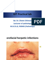 GIT Pathology (Practical)