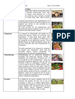 AGRICULTURA Y MINERIA EN GUATEMALA.docx