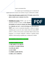Pautas de Segundo Parcial PDF