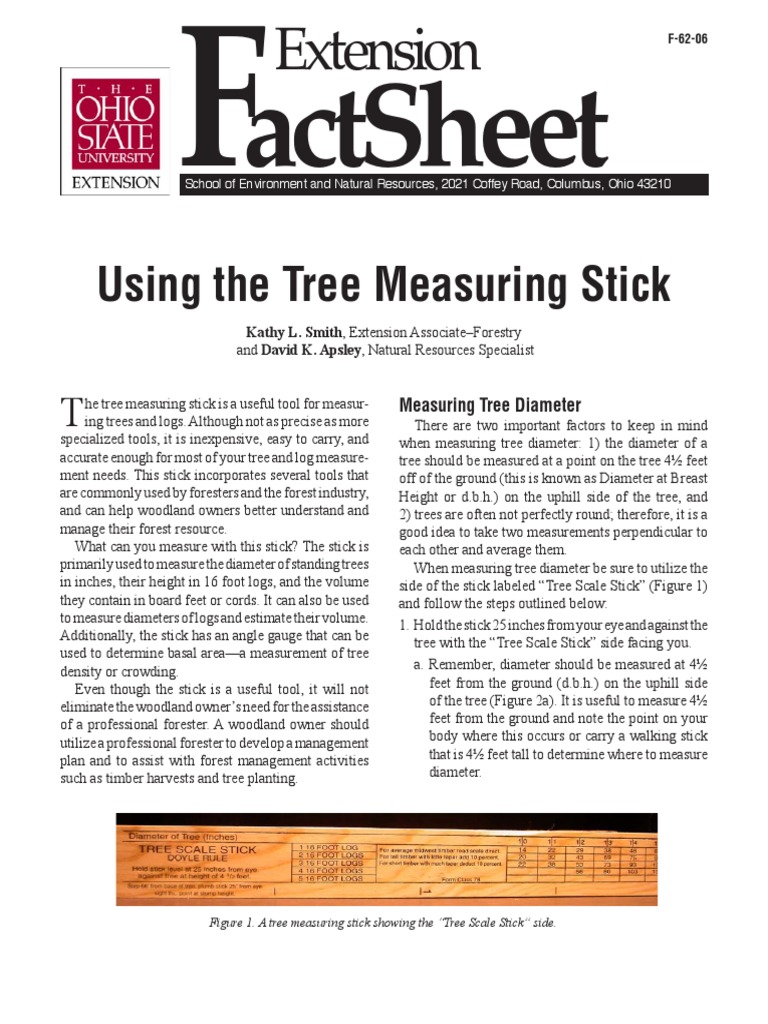 0062-Tree Scale Stick PDF | PDF | Lumber | Wood