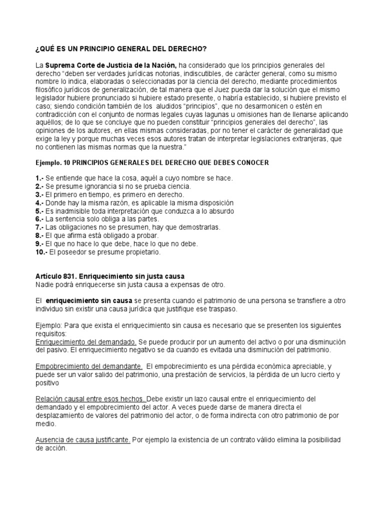 Qué Es Un Principio General Del Derecho PDF Bienes (Ley) Pagos