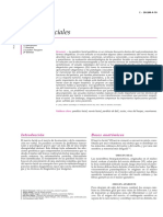 Darrouzet2002 PDF
