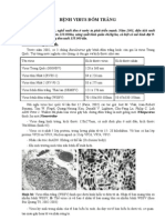 BỆNH VIRUS ĐỐM TRẮNG