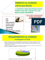 Req. Caninos 2019 II