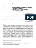 Ocupação Cerrado PDF