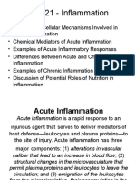 NS 521 - Inflammation