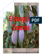 MangoCanarias PDF
