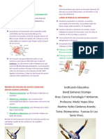 BIOMECANICA