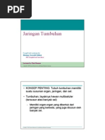 Download Materi Pengayaan Jaringan Tumbuhan by gitanurul SN46789298 doc pdf