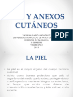 Piel y Anexos Cutáneos