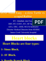 ECG Made Easy - A Slow Turtle Vs