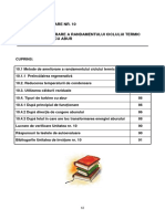 Unitatea de Invatare 10 PDF