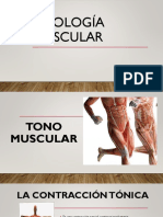 Fisiología Tono Muscular 