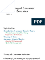 Theory of Consumer Behavior  