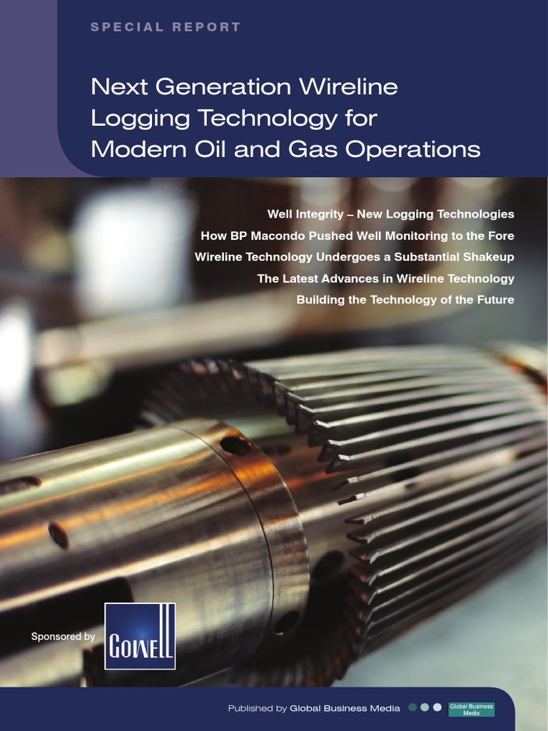 GW Well Integrity Publication PDF | PDF | Business | Computers