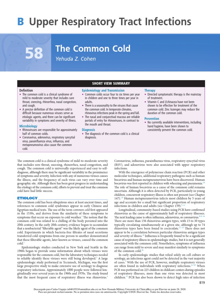 58 The Common Cold PDF PDF Common Cold Infection