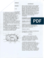 ENFERMEDAD DE LA BACTERIA (1)