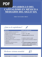 El Desarrollo Del Capitalismo en México Siglo XIX