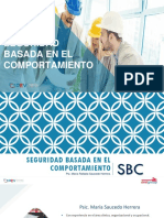 SBC - Introducción 2020 PDF