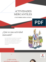 Actividades Mercantiles y No M