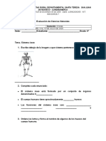 Evaluacion Grado Cuarto Naturales