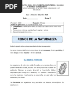 Evaluacion Grado Quinto Naturales