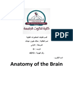 Anatomy of The Brain