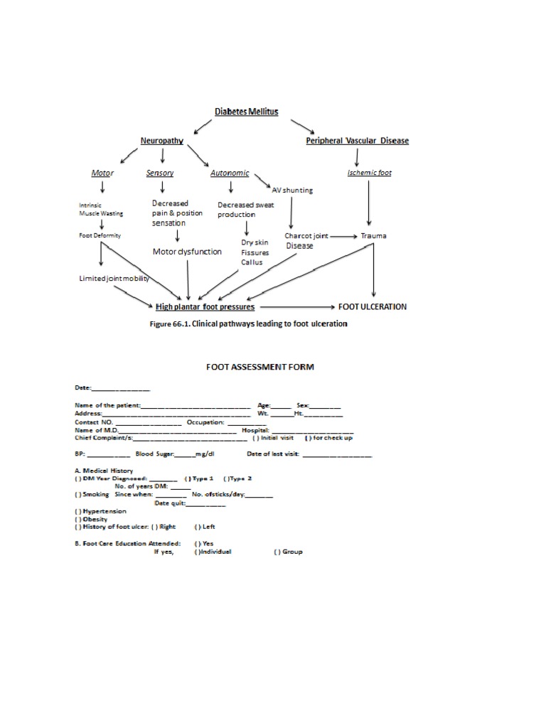 Diabetic Foot Assessment Form and Algorithm PDF