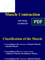 3 Contraction of Skeletal Muscle