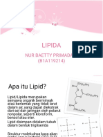Lipida PDF