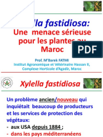 Xylella Fastidiosa Une Menace Serieuse Pour Les Plantes Au Maroc