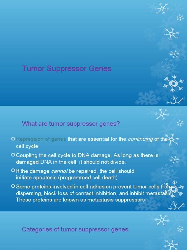 Tumor Suppressor Genes | PDF | P53 | Dna Repair