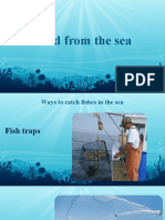 Food From Sea