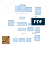 Erosion Del Suelo