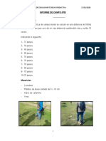 Informe de Campo 01