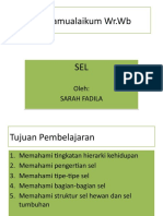 Assalamualaikum WR - WB: Oleh: Sarah Fadila Oleh: Sarah Fadila