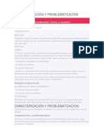 Caracterización y Problematización