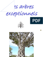 Les arbres exceptionnels. Περίεργα ΔΕΝΔΡΑ.