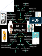 Mapa Mental - PRACTICAS PREPROFESIONALES