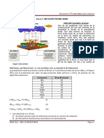 Simulacro 2. Con respuestas.pdf